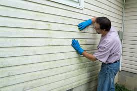 Affordable Siding Repair and Maintenance Services in Oak Grove Heights, AR